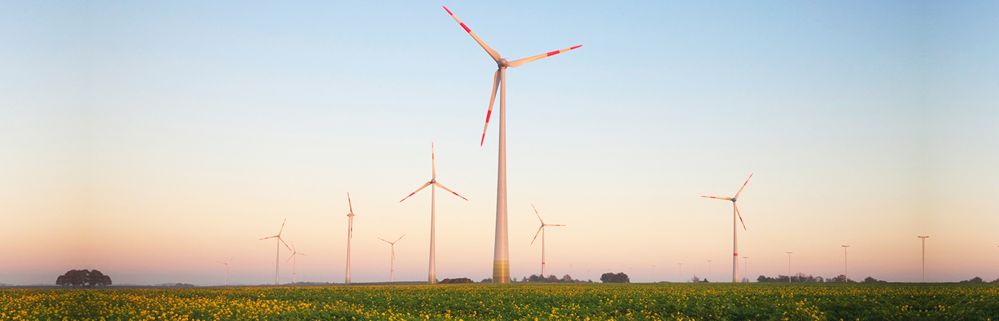 Voordelige, duurzame energie voor coöperanten van Limburg wind cvba